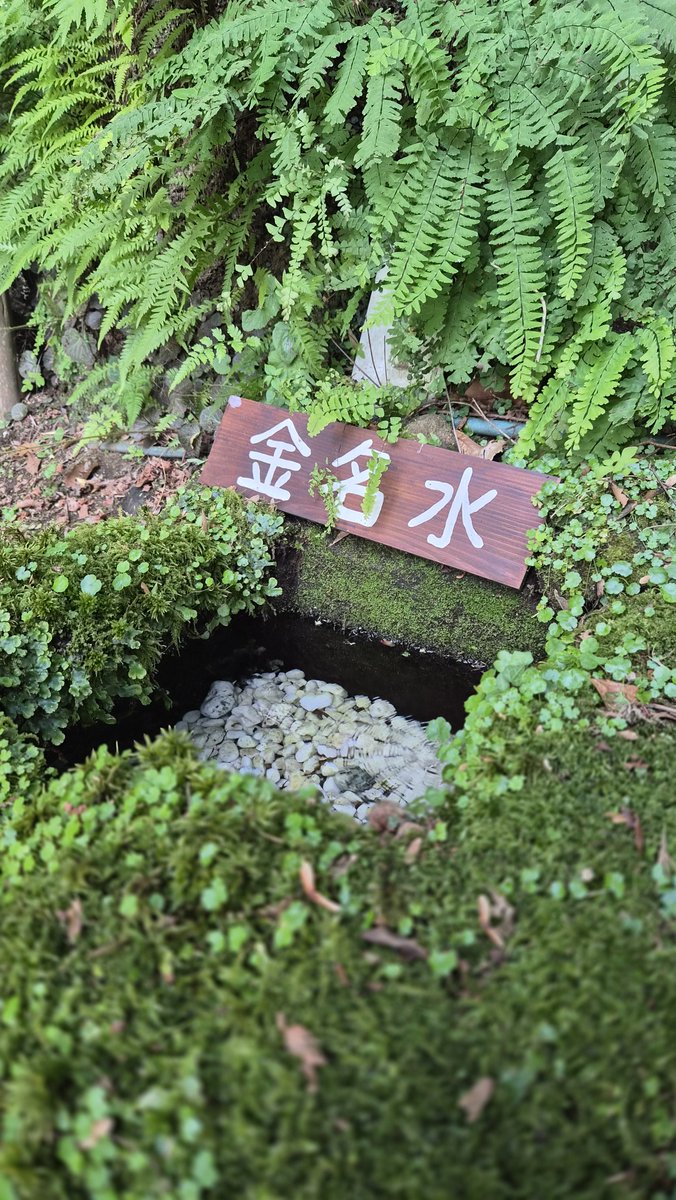 odekake_taft's tweet photo. お盆休みが終わてしまた(ﾟДﾟ)
金名水を拝む。ありがたや、ありがたや🙏✨ https://t.co/ZZ0CRRLUsf