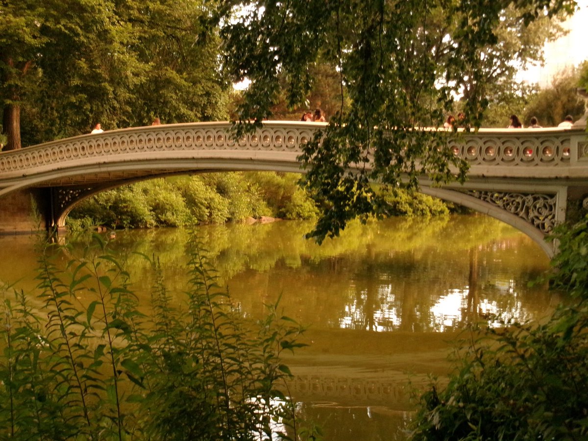 cg_pis's tweet photo. Central Park https://t.co/JyWoHEZWud
