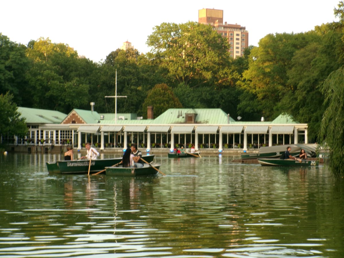 cg_pis's tweet photo. Central Park https://t.co/JyWoHEZWud
