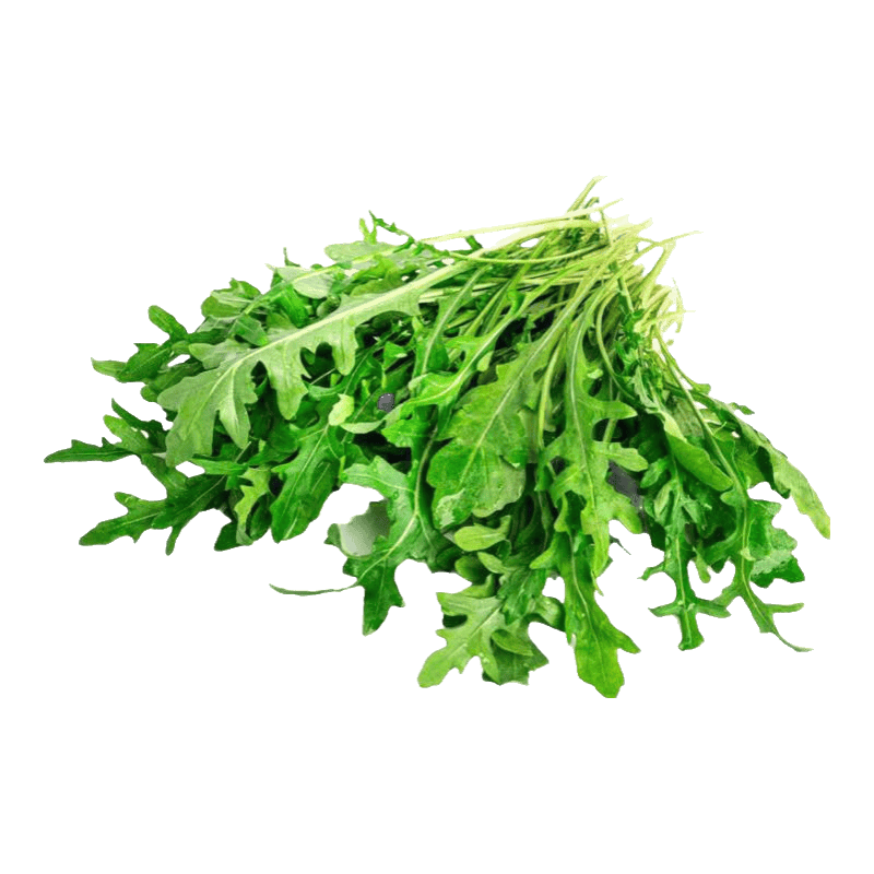 heueheues's tweet photo. Just tried the new organic arugula from local farm! Peppery, crisp, and packed with freshness—perfect for salad toppings. No bitter aftertaste at all, 10/10 would recommend for your next meal. https://t.co/GM359veaWs