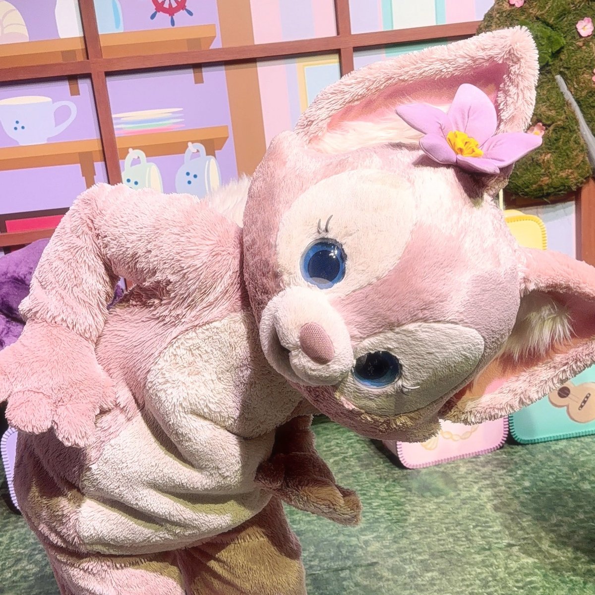 linabellluv's tweet photo. のぞき込みリーナにメロメロ〜〜🥹🎀💘 https://t.co/Dsr4TkJ1Vq