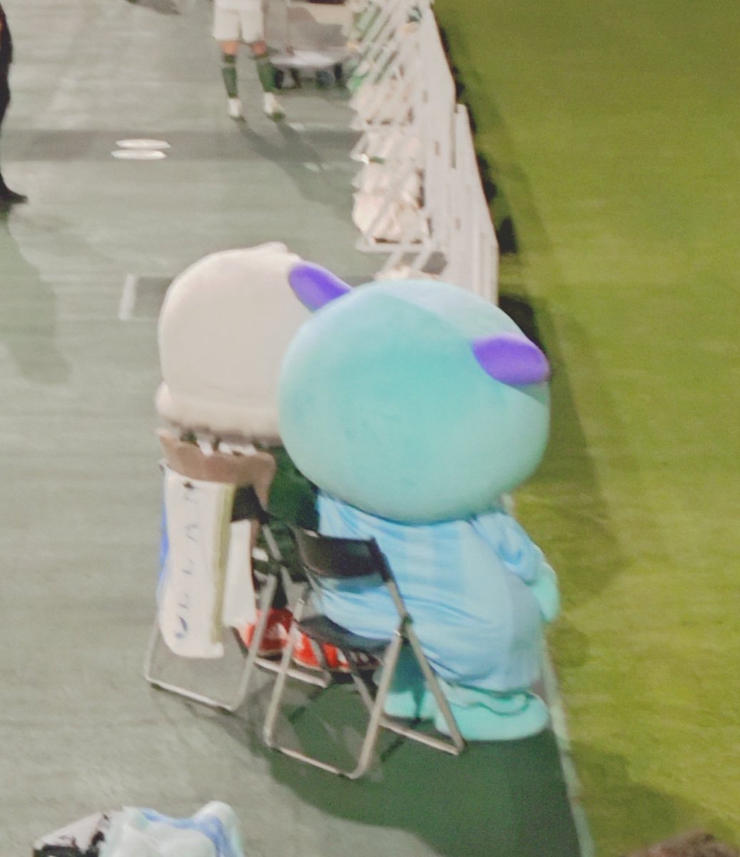silentaroma's tweet photo. 花火を見る丸いものたち。 https://t.co/UMJO2YuO8l