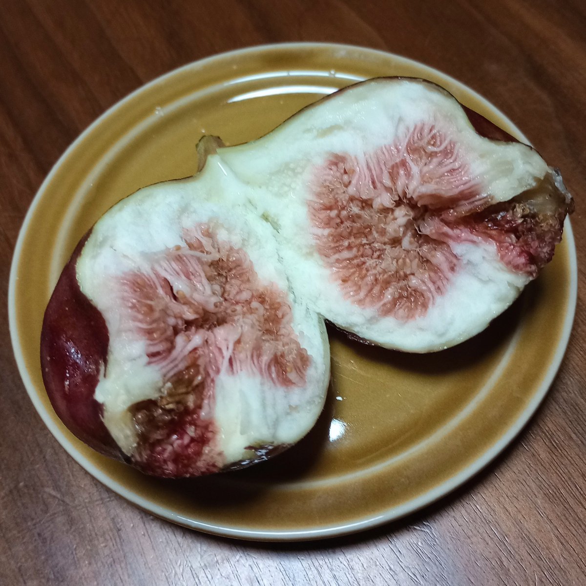torico_ota's tweet photo. ジク🖖😋 https://t.co/TDbCGFjyrU