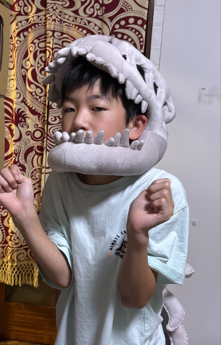 SAMORAN_OSHI's tweet photo. 本日増えた🐸の被り物、ずっと遊んでるけど歴代の被り物まで引っ張り出して来た‼︎
ワテクシのコレクション散らかさないでぇ〜｡ﾟ(ﾟ´Д｀ﾟ)ﾟ｡ https://t.co/VTE4f1a888