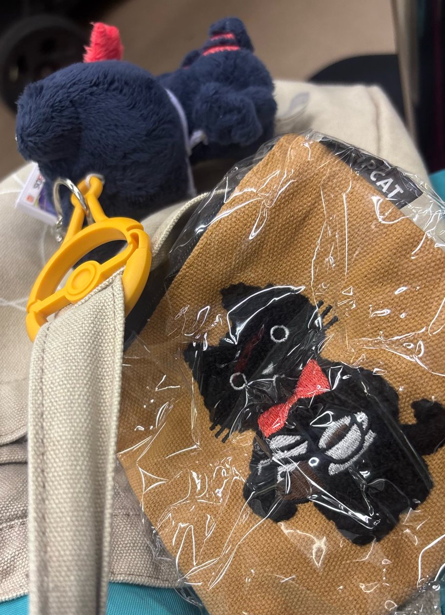 b_be217's tweet photo. とりあえず確保🥲🥲☕倍ぐらいでやりとりされてるから、なんとか自分の手でゲットしたかった🥲！！！1匹あとから交換出します🥲、、どの子を希望するか悩む、、、！！ https://t.co/fyAQiOgBsR