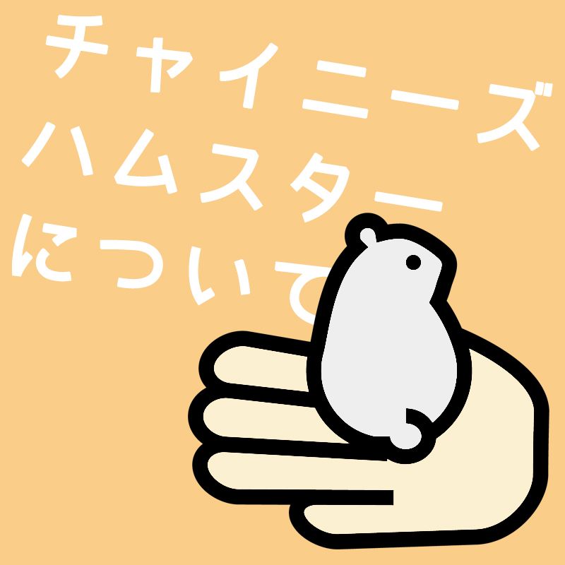pets_kojima_ec's tweet photo. 《チャイニーズハムスターとは⁉️ 🐹》

ゴールデンハムスターやジャンガリアンハムスターとは
ひと味違った魅力を持っているチャイニーズハムスター✨

本日は特徴から飼育のポイントまでご紹介します💖

https://t.co/RMJDP0NJEM https://t.co/qaj5nvErFs