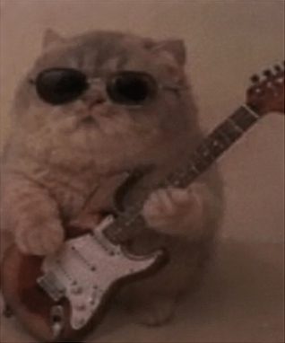 JamCatRH's tweet photo. he only knows one song $JAMCAT https://t.co/ANT8PBZk6N