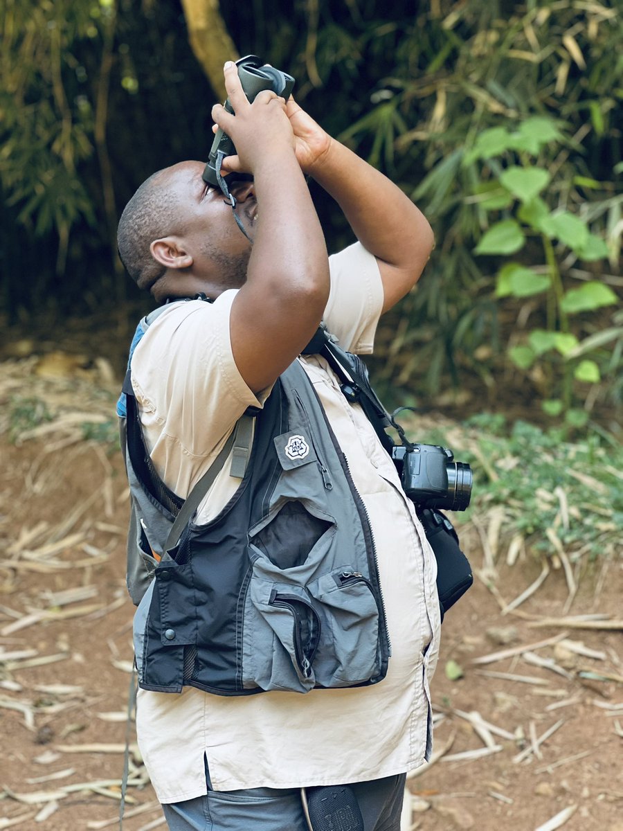 acus_uganda's tweet photo. We then headed into the field for a knowledge-filled bird-watching session led by Godfrey Precious and Christopher Kid as famously known. The Botanical Gardens became our classroom as we explored the beauty and diversity of Uganda’s birdlife. 

3/12

#Run4Birds26 #EveryStepSavesACrane