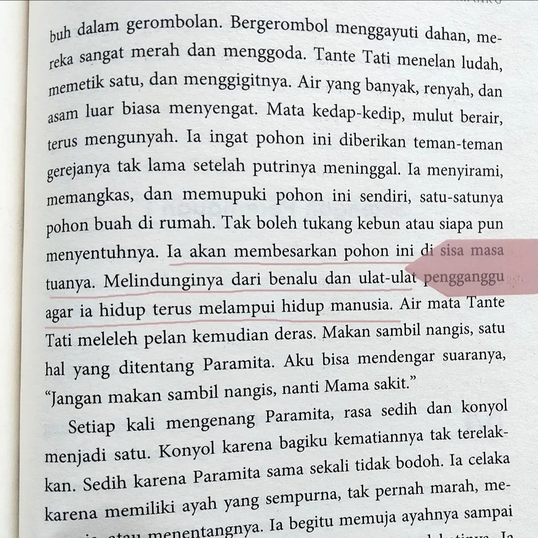 deardira_'s tweet photo. ya Allah aku cinta bgt sama Manifesto Flora❤😭 baca ini di tahun 2024 dan sampai sekarang masih menjadi buku kumcer terfavorit https://t.co/QMMRrcQw68