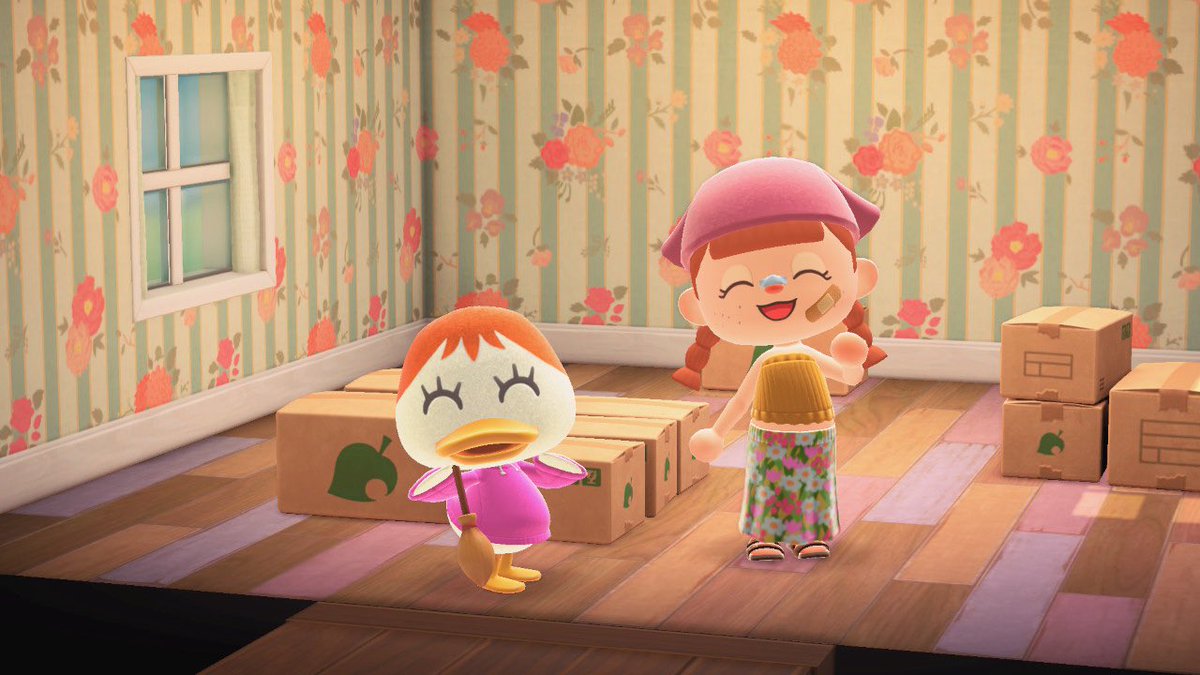 tinyweird0's tweet photo. I have Pompom in boxes if anyone wants to come invite her to their island!! 🩷 #acnh #animalcrossing #pompom #inboxes https://t.co/YPCORc2VMG