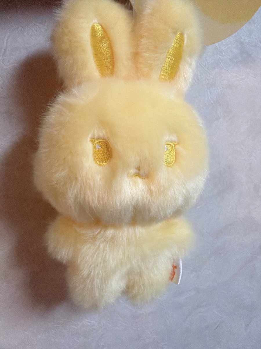 今更なんですけどやっとcolorシリーズの子たち届きまして笑どれも