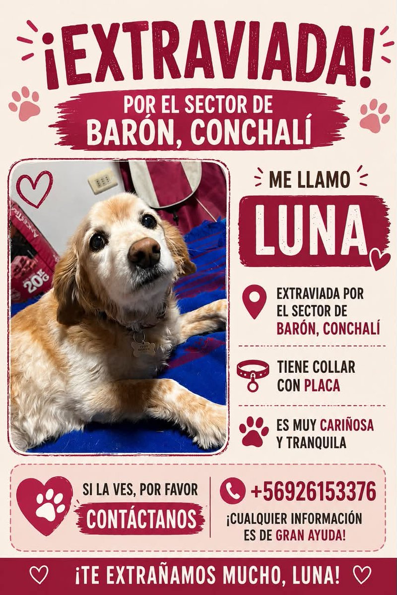 eltuitdemarsh's tweet photo. ¿Ayudamos difundiendo a Luna para que se reencuentre con su familia?
#Conchalí https://t.co/xCQEaDeDTL