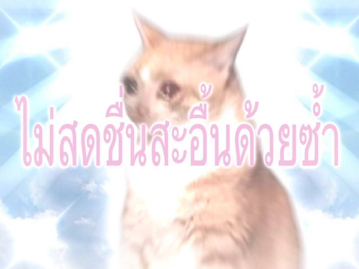 alincharm's tweet photo. พรุ่งนี้วันจันทร์ : https://t.co/0K9LgSLPbw
