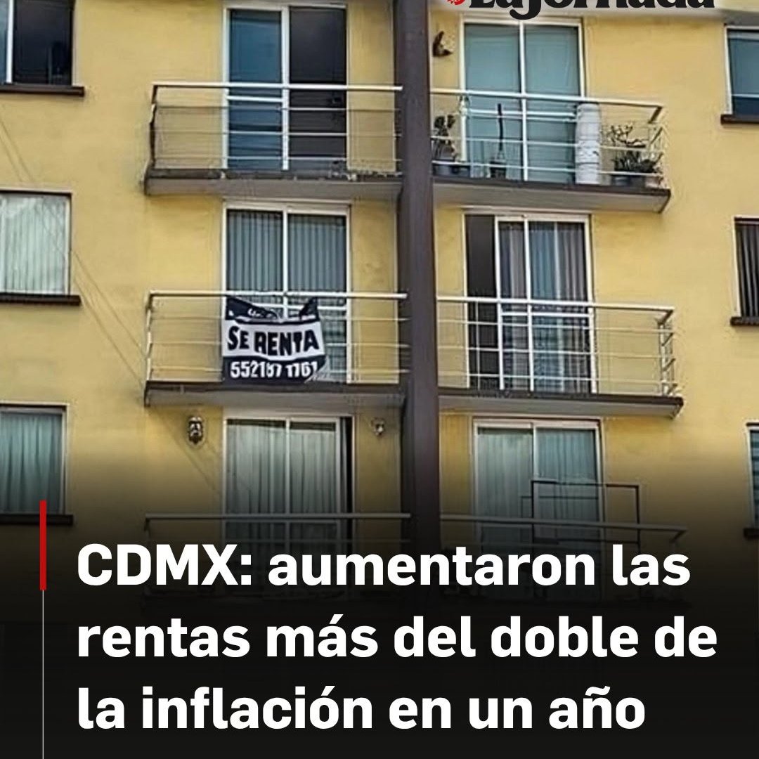 cesarpinedar's tweet photo. La CDMX descubre que los mercados desregulados son una estafa, que las multinacionales son un embuste y que la ley de la oferta y la demanda es una locura. Ha descubierto... al mercado en su forma capitalista. https://t.co/kscWUkHiuo