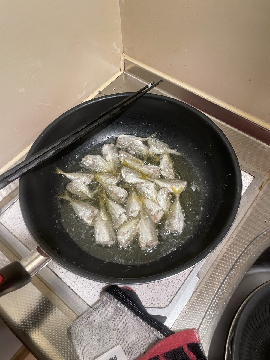 hamasanzc6's tweet photo. グローブパイセンたちと小アジ釣りへ
調理法よくわからないから適当処理で料理。
これはビールが欲しくなる https://t.co/L3rmj35U7U