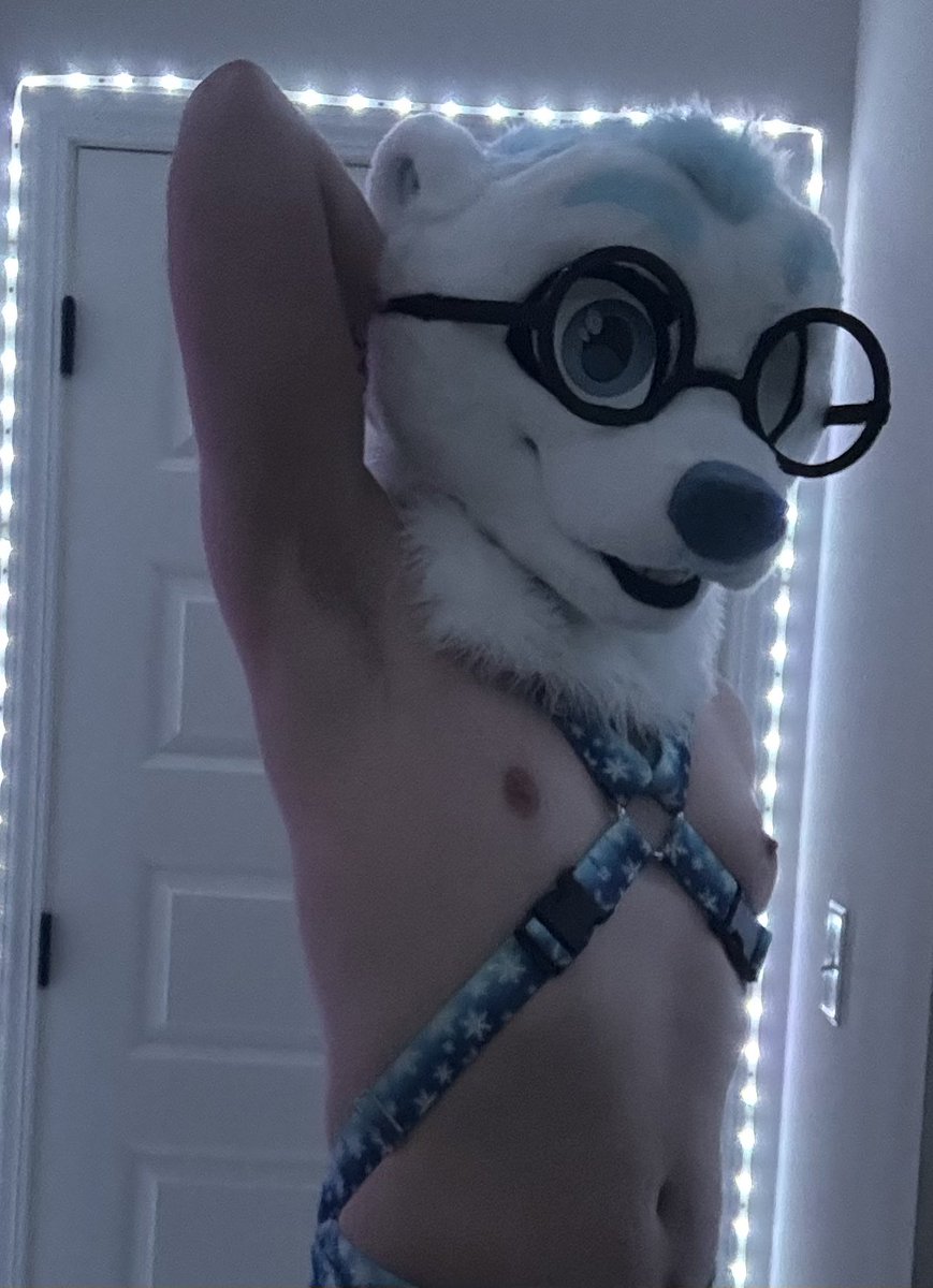 PolarBearback's tweet photo. How to find the bear at Megaplex!!

DO: ✅
- Ask for photos
- Say hi
- Invite me to parties
- Touch me (oomfs)
- Being me to your room (oomfs)

DONT: 🚫
- Follow me around
- Touch without consent
- Be weird

Very excited for this con! Hope to see y’all there :3 https://t.co/EQXPqK7Miw