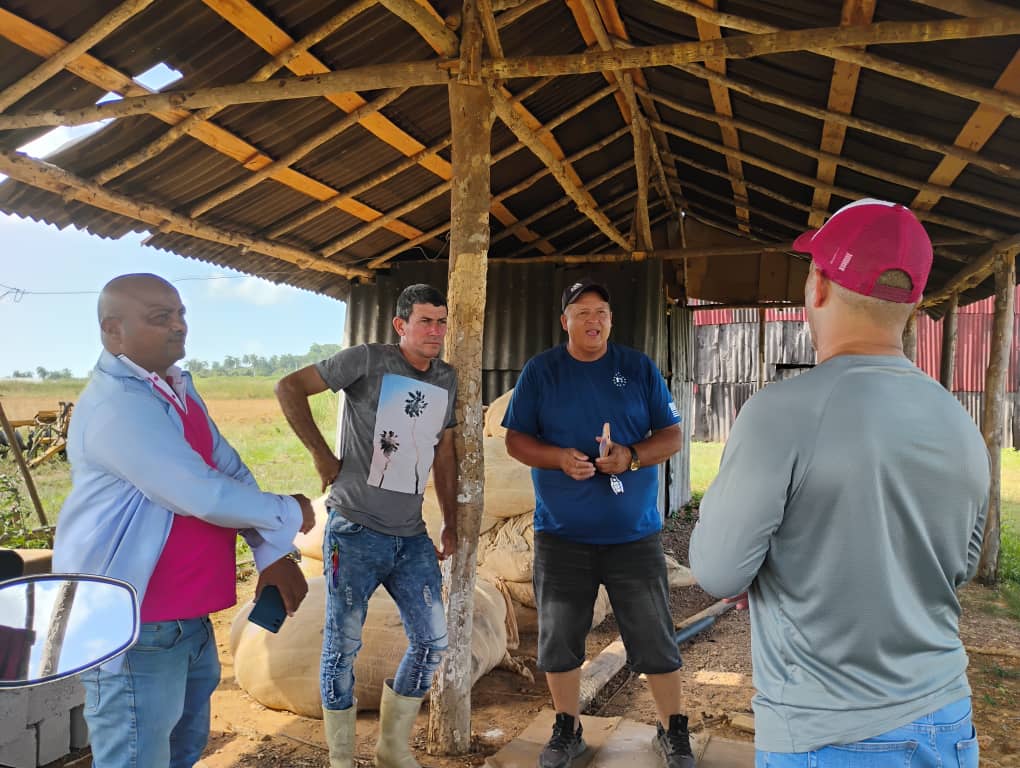rlicea_mojena's tweet photo. En medio de la compleja situación económica que atraviesa el país, agudizada por el cerco energético, los campesinos pineros, hacen un esfuerzo extraordinario para garantizar la alimentación del pueblo #LaPatriaSeDefiende #IslaDeLaJuventud #SentirPinero https://t.co/GFMPbI7E8n