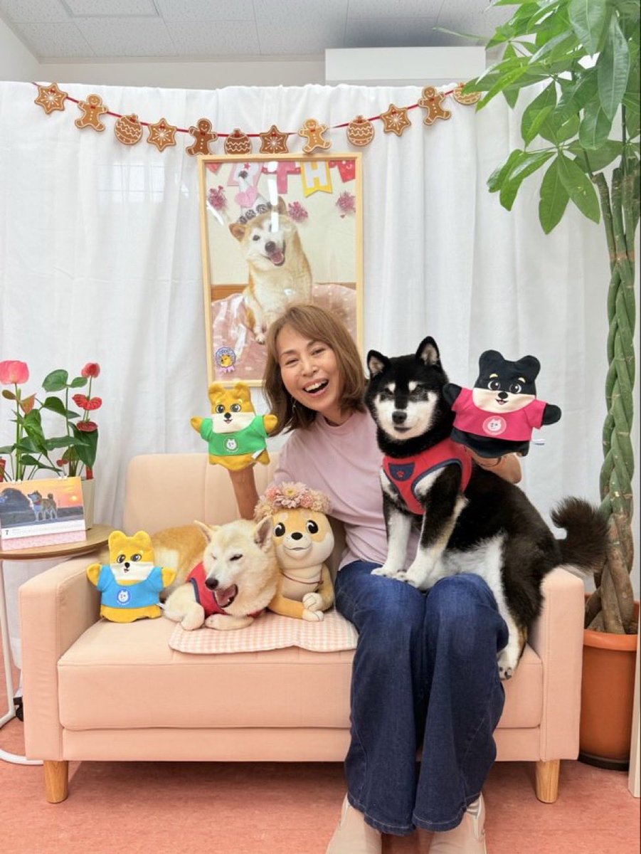 GoodShibu's tweet photo. The one and only solana:7Mxvi7bi5bnjELB4QNzQ4VrQEPeBgPbWwbfwE1ydBAGS 

Low mcap

Real merch, real hand puppets, plushies, and children’s storybooks

Loved and supported by OG Doge mother かぼすママ Kabosumama

OG Doge Artist @Fantoumi creates incredible art and memes, and author of many titles including: “Shibu to the Rescue” 🥰

Beyond the blockchain, we use art and memes to support animal shelters in need and rescue efforts for our furry friends 🫶

For more information about this project, check out https://t.co/VA6ukk681a
