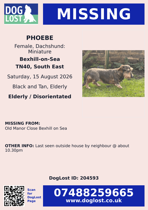 millypod1's tweet photo. 🆘15 AUG 2026 #Lost Phoebe #ScanMe #SausageArmy 
ELDERLY Dachshund: Miniature Female
Old Manor Close #BexhillOnSea #TN40
Bexhill-on-Sea East Sussex
https://t.co/iLzMcdTPtW https://t.co/MyYu819hc4
