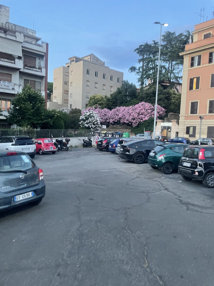 Salvawora's tweet photo. Las ciudades de Europa sin bonitas, sí, pero como no van a serlo si llevan tres siglos destruyendolas y dejando lo bonito ciclicamente.

Para una tierra tan joven como América está destinada aún más belleza, porque su historia ni siquiera empieza a tejerse. https://t.co/1sH9quJ86Y