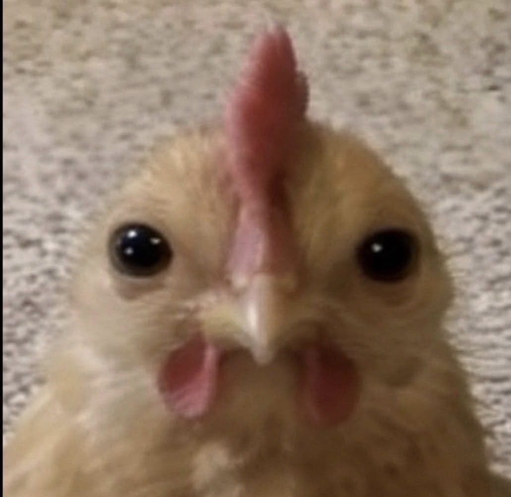 Myrwnn's tweet photo. Anivia https://t.co/tT1SE3iHnz
