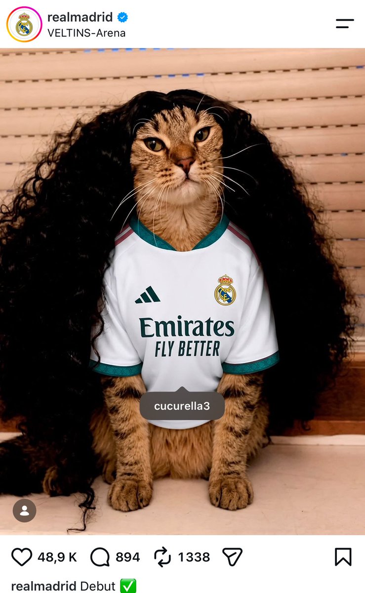 ActuFoot_'s tweet photo. Voici comment le Real Madrid annonce les débuts de Marc Cucurella 🇪🇸 sur Instagram. 🤣🐈 https://t.co/wn12y0Em7N