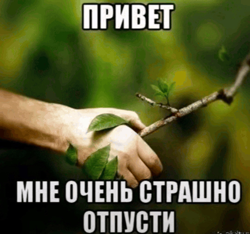 roctii004's tweet photo. https://t.co/qb4Qp81cb0