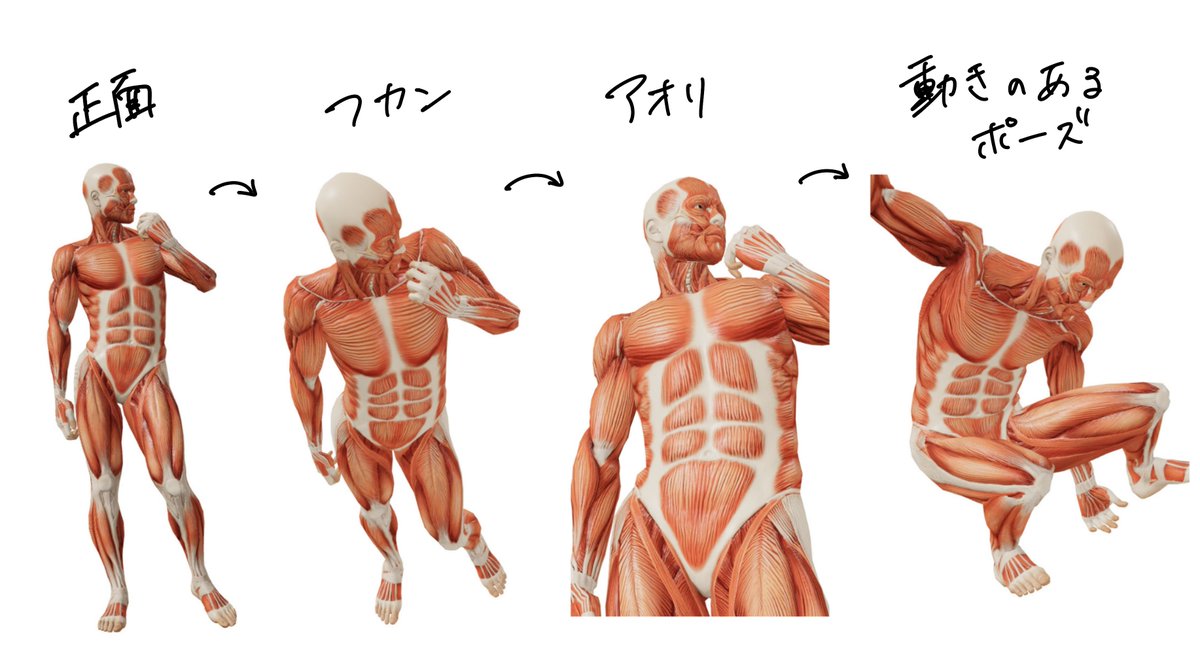 posemaniacs's tweet photo. 練習が続かない理由の多くは、やる気ではなく「今日何を描くか決まっていない」ことです。
描くものを先にリスト化しておくと、描き始めやすくなりま��
・正面と斜めの基本の立ちポーズ
・アングルがついたポーズ
・動きのあるポーズ
この順で並べると、難しいものから入って挫折する流れを避けられ、練習しやすくなります。
