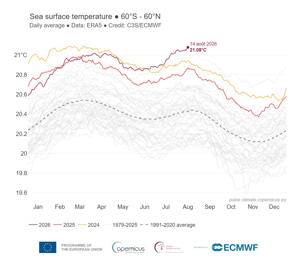 SergeZaka's tweet photo. On enchaîne. Il est maintenant très probable que nous allons vivre l'El-Nino le plus intense depuis le début de son observation sur Terre (et surement depuis des siècles).

Les premiers effets se font sentir avec un décrochage total des températures mondiales. Le mois d'août 2026 pourrait être le mois d'août le plus chaud sur Terre depuis le début des mesures. Nous ne sommes qu'à 0.11°C du record absolu mondial de température et 0.01°C du record absolu de la surface des océans.

La méditerranée enchaîne les records absolus de température avec une canicule marine qui dure depuis des semaines avec jusqu'à +3 à +6°C d'anomalie. Les derniers relevés montrent qu'avec une moyenne de 28.5°C, la surface de la mer Méditerranée vient de battre son record absolu de température. En d'autres termes, la mer Méditerranée n'a jamais été aussi chaude tous mois confondus.

Ce n'est que le début. Nous sommes partis pour 1 an d'incroyables records à l'échelle planétaire.