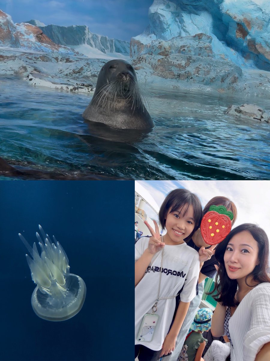 rubia8741's tweet photo. 今日はお休みをいただき、姪っ子と千葉の鴨川シーワールドに行ってきました🐠🏝️
久しぶりの水族館、じっくり見て楽しんで、夕方は海をお散歩したりもして最高の1日になりました☺️♡

明日からまた忙しくなるので、今日はパワーチャージできて感謝💓

#鴨川シーワールド #水族館 #夏休み https://t.co/DEMM4x8aQB