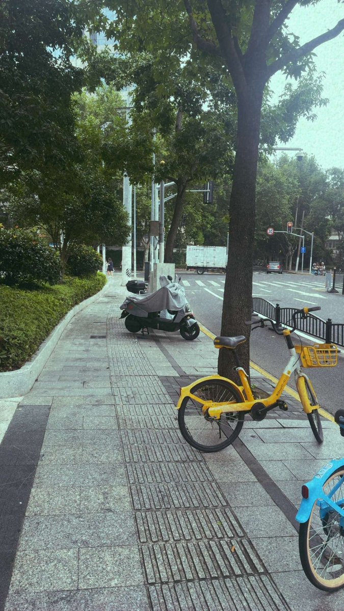 izakhsa's tweet photo. - شانغهاي، أغسطس- ٢٠٢٦ م. https://t.co/adyv84ofhr