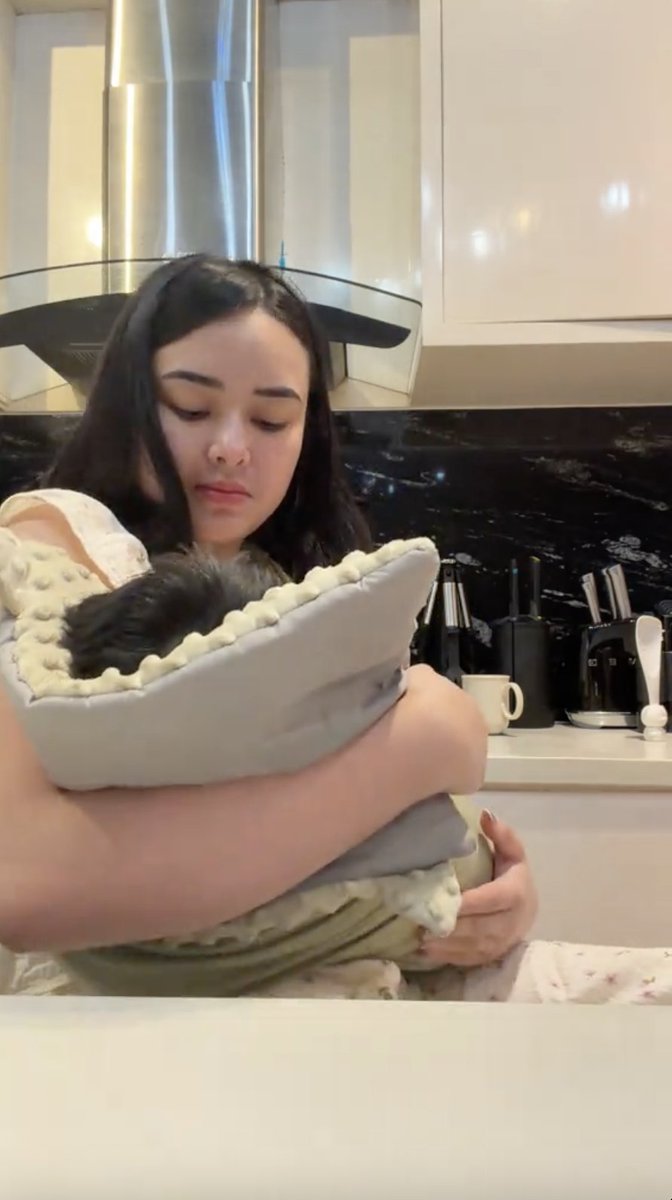 insidefolkative's tweet photo. Salfok rambutnya Baby Zac tebel banget di video terbaru tiktok Amanda Manopo. 🤍🤍 https://t.co/tHrvBaL4m2