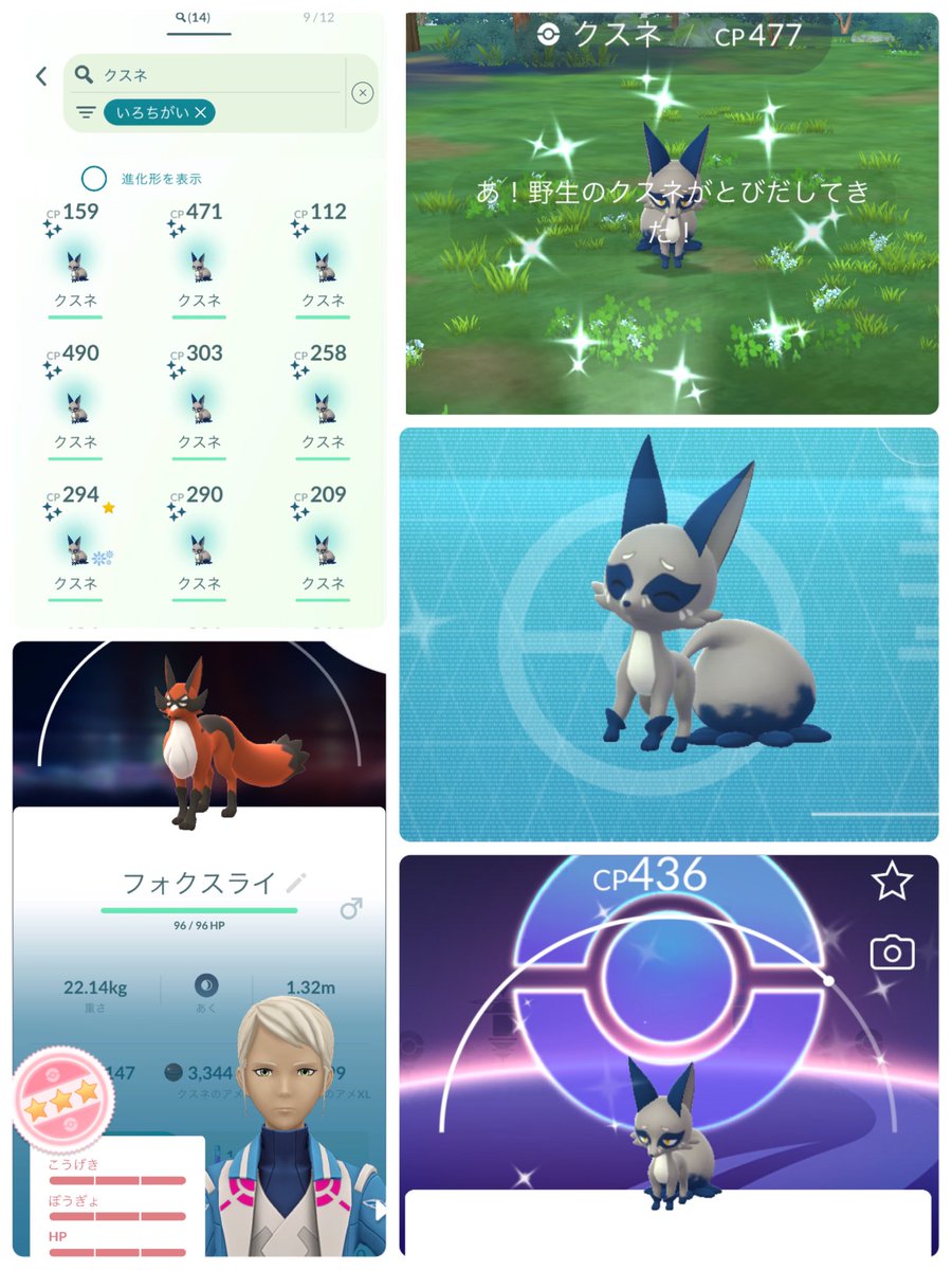cello338897112's tweet photo. クスネのコミュデイお疲れ様でした！
1時間ほど近くのモールと帰り道で
色違い16✨
色背景2✌🏻��
高個体はJASH!
タスクからフォクスライ100頂きました😋
 #ポケモンGO   #クスネ  #コミュデイ 
 #今日の色違い https://t.co/cFFee4Udfm
