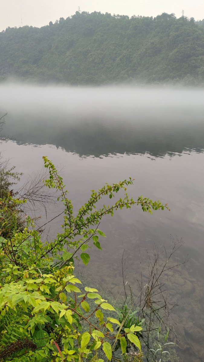 Douglas85994792's tweet photo. Loving the morning jog along the riverside! Fresh air, calm water, perfect start to the weekend. https://t.co/BNscpoWu30
