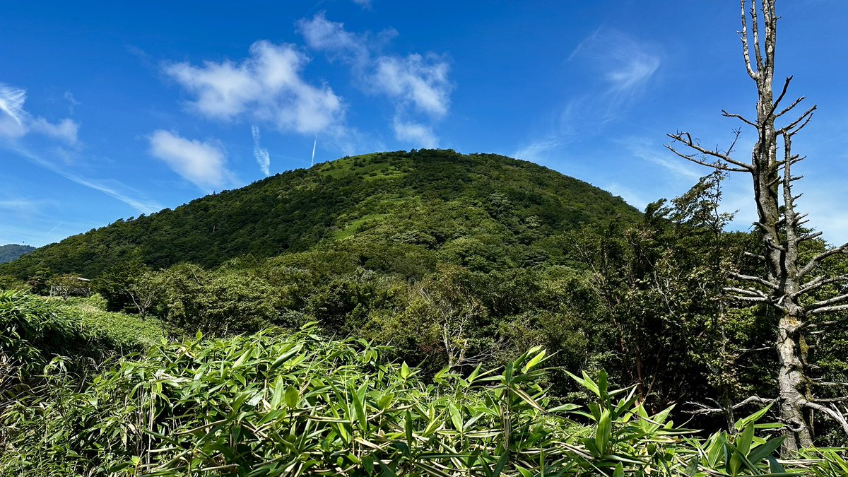 Nl0Gw's tweet photo. ＃竜ヶ岳
今日は富士山が近距離で確実に見える山に行ってみた。
写真、動画で富士山は見た事あるが本物はお初。
登りたいとは全く思わないが
もの凄く眺めてみたかった。
竜ヶ岳、絶好な場所だった。 https://t.co/lX1tSEHdJP