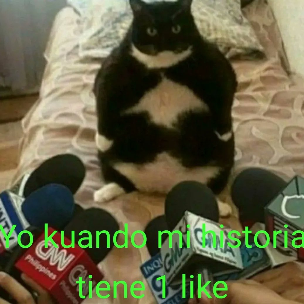 BFrog__'s tweet photo. https://t.co/vhFriWo2Le