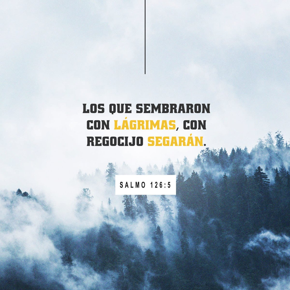 turistanac's tweet photo. “Las lágrimas que derramamos cuando sembramos la semilla se volverán cantos de alegría cuando cosechemos el trigo.”
Salmos 126:5 TLA https://t.co/HeXb22xuUs