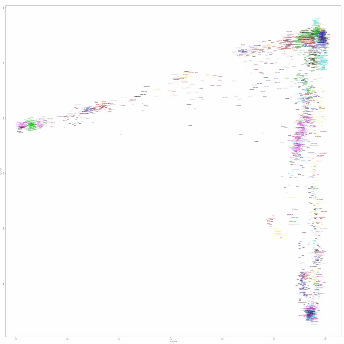 Adrianybsz's tweet photo. @o52539 @Lugati7 @pssspsspsssspss @Returnevanzod So how many races do you see in this picture? https://t.co/a2jPA85n6A