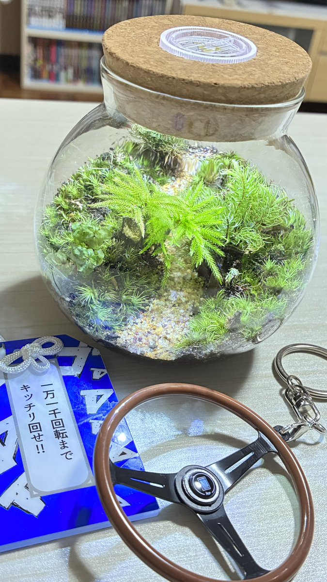 rily_co's tweet photo. 苔テラリウムに興味があってまさかの車のイベントでゲットしたものとイニᎠ推しお守りと🇮🇹のメーカーのハンドルキーホルダー計8000円也😂 https://t.co/cZUYBKKAOm