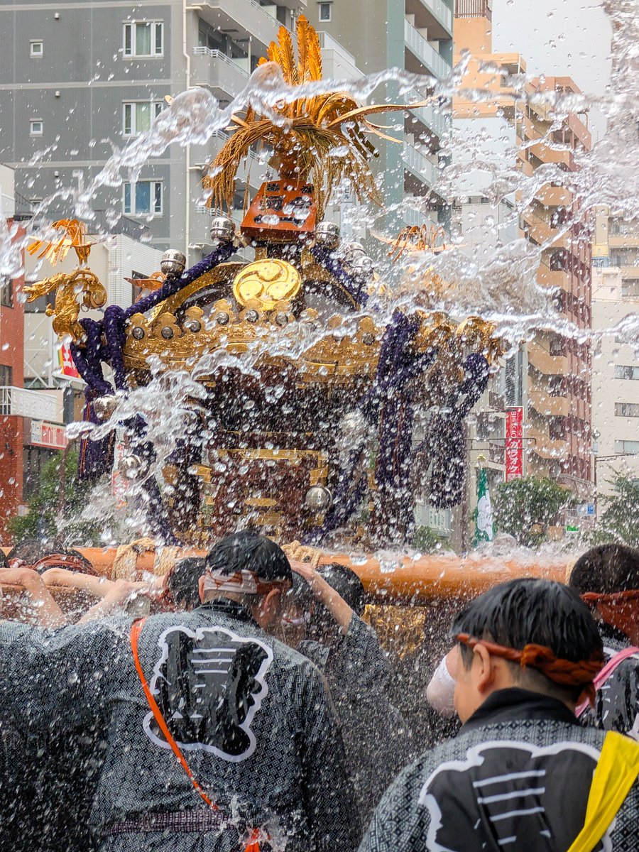 cai_ring222's tweet photo. 深川八幡祭り(富岡八幡宮例大祭)
岩崎宏美親分・生誕の地！！！
今年は3年に一度の本祭り､神輿連合渡御では54基のお神輿の大パレード｡
さすが江戸三大祭りの一つ､､､
スケールが大きくて､終始大興奮でした👏ﾌﾞﾗﾎﾞｰ https://t.co/aNUPd6KHW3