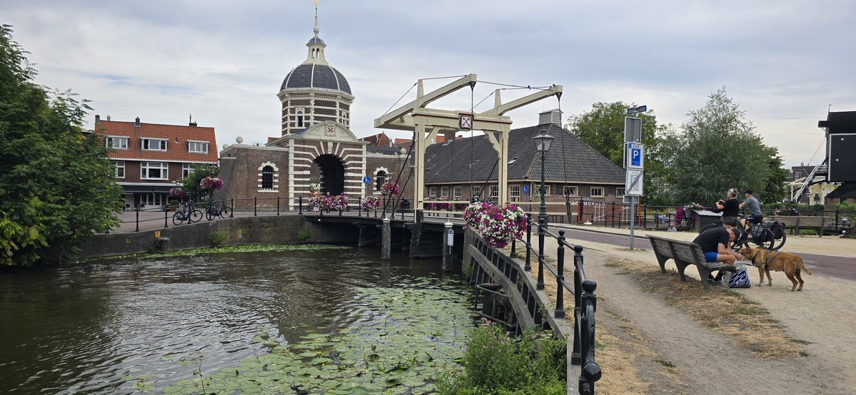 Martin1960's tweet photo. De binnenstad van #Leiden blijkt nog verrassend goed geconserveerd na de #ElCid-week: de kennismakingstijd voor eerstejaars studenten 😎🚴♀️☀️ https://t.co/LQKsJBy0bp