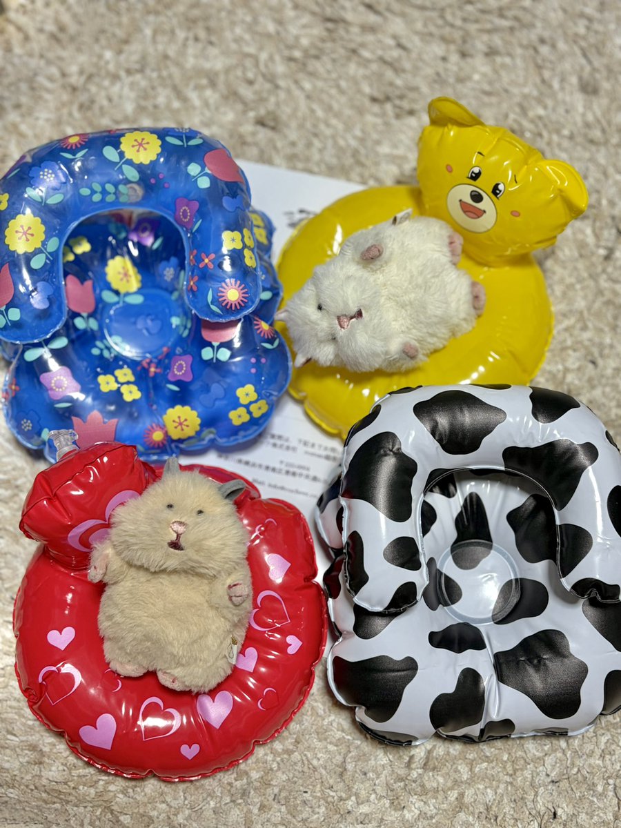 comugitookome's tweet photo. @numan_pr 様の「ぬい用エアーソファー」全4種コンプリートセットに当選しました🐹🐹🛟
無事受け取ってにんまりしてます！
ありがとうございますー！ https://t.co/bC1Z4Zd8JA