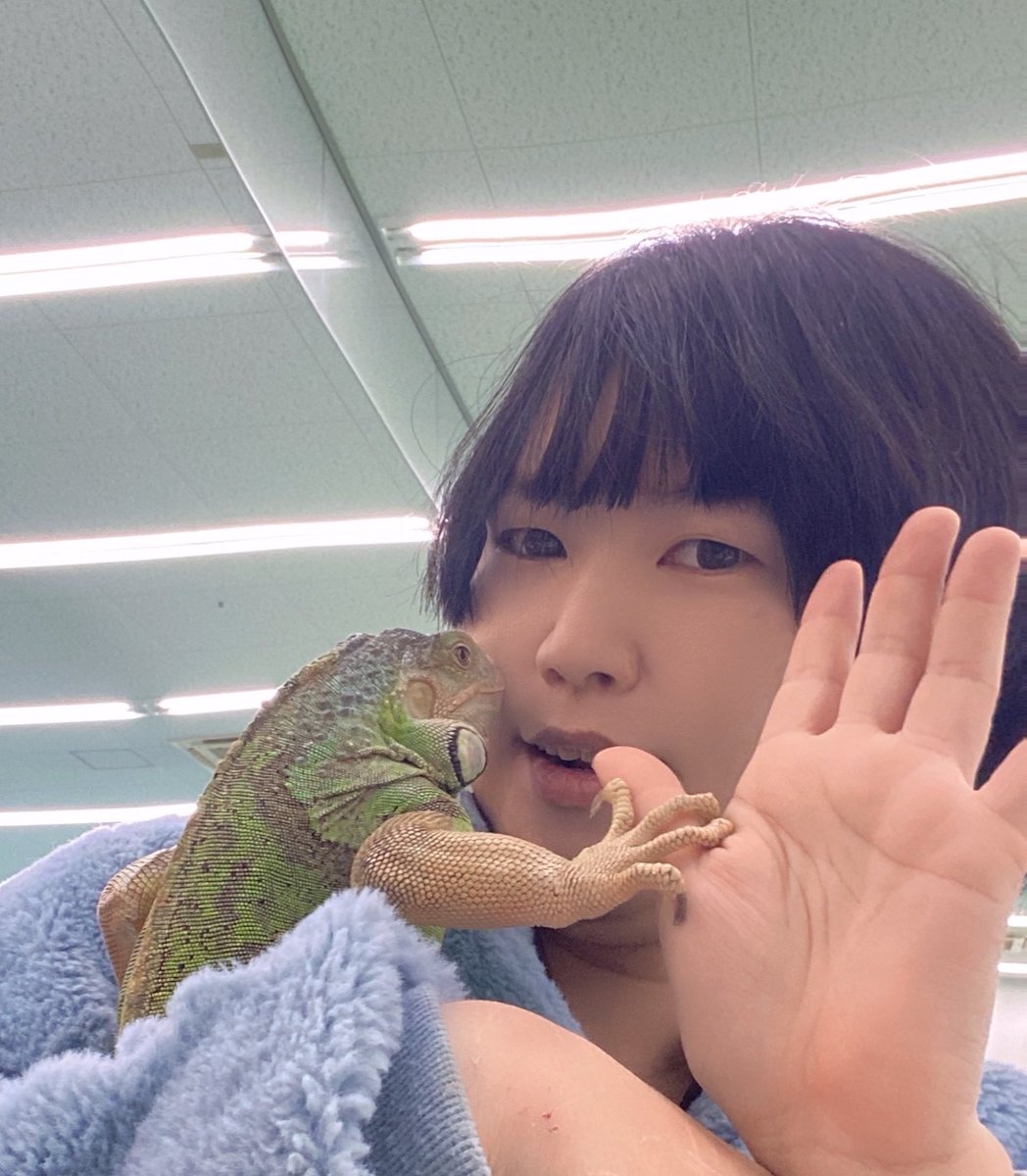 tkticiban424's tweet photo. 突然のリアルイグアナ登場😂 https://t.co/uXbHcLZz2H