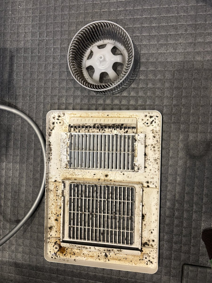 Re48686172's tweet photo. 浴室乾燥機は表面は綺麗でも中身はこんな感じでカビだらけです…
カビを取ってもまた生える場合はこれを疑ってみて下さい！！
#カビ汚れ
#カビ
#カビ取り https://t.co/UTIQ8BrbX9