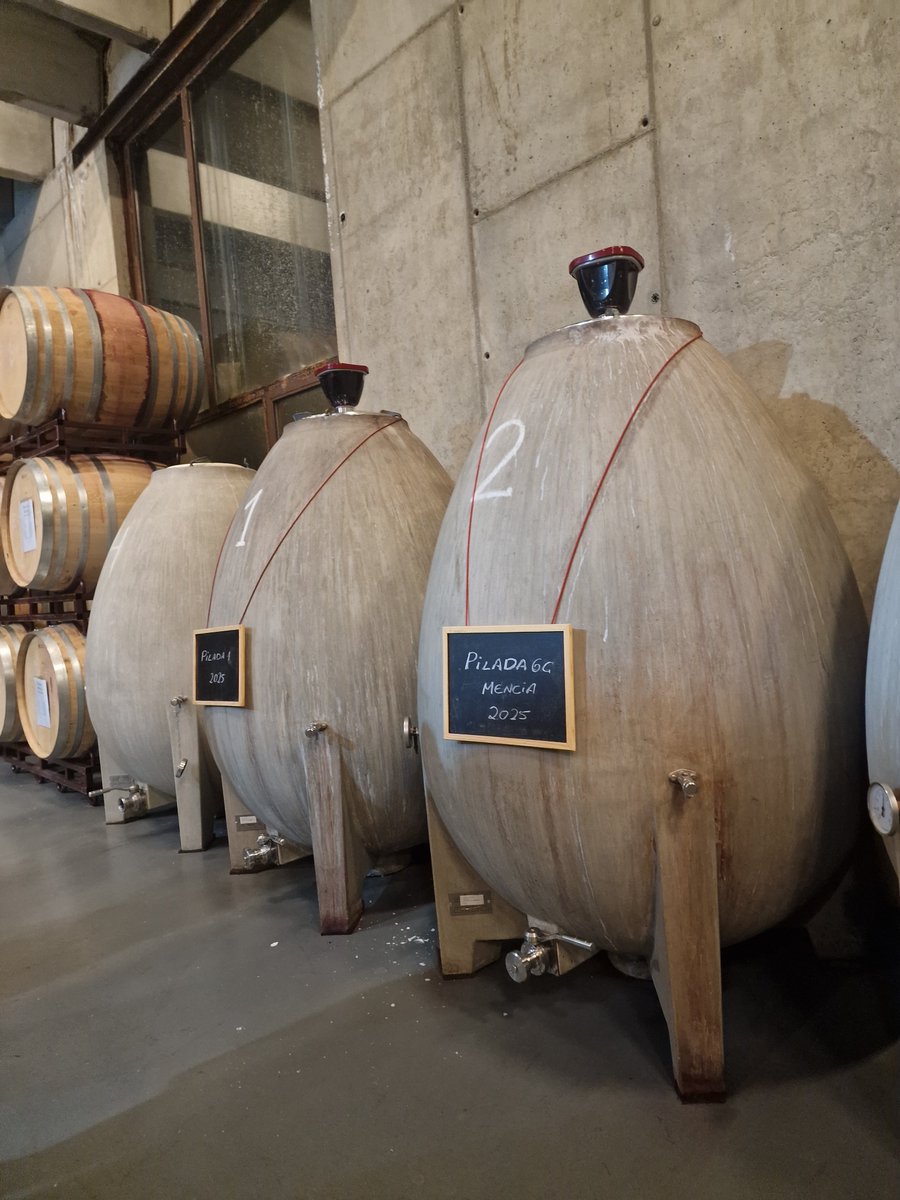 Bian679H's tweet photo. Losada Vinos de Finca ❤️ https://t.co/WeAocj90Ml