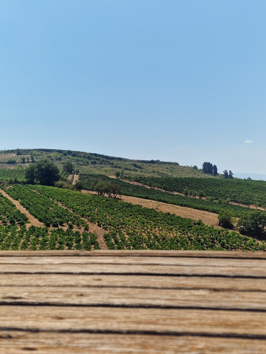 Bian679H's tweet photo. Losada Vinos de Finca ❤️ https://t.co/WeAocj90Ml