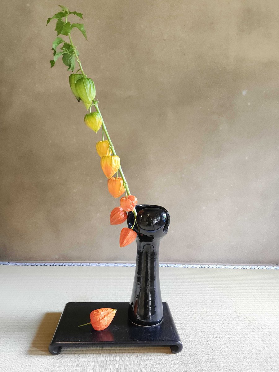 shimogamobettei's tweet photo. 床の間のほおずきが、美しいグラデーションで魅せています。未熟と成熟、平静と情熱、見る人によって、いろんなイメージを想起させるかもしれませんね。

今年はどのような夏を過ごされましたか？
過ぎし夏の日々から来たる秋へ、季節もグラデーションが進んでゆきます。 https://t.co/UkoejWou71