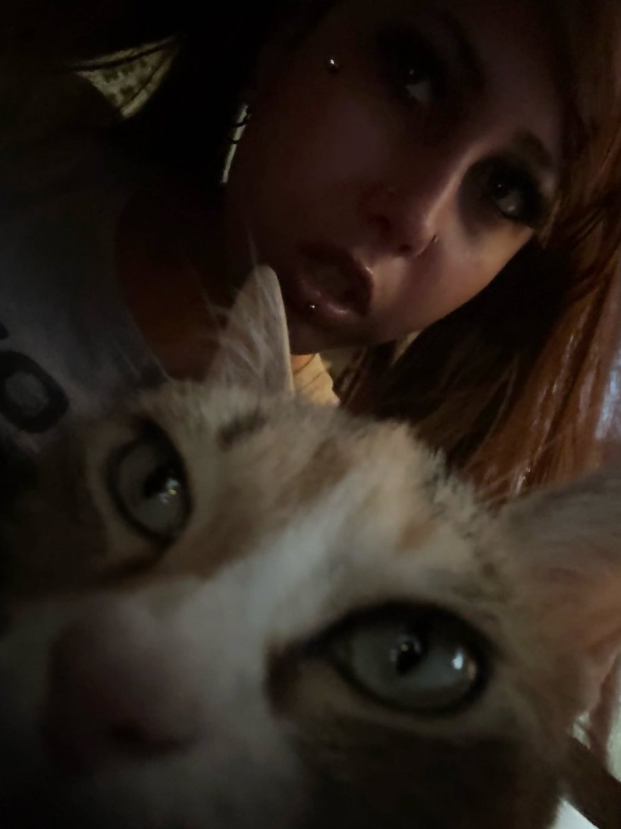 moxyxi's tweet photo. #prettykitty https://t.co/Eh7OCOLai5