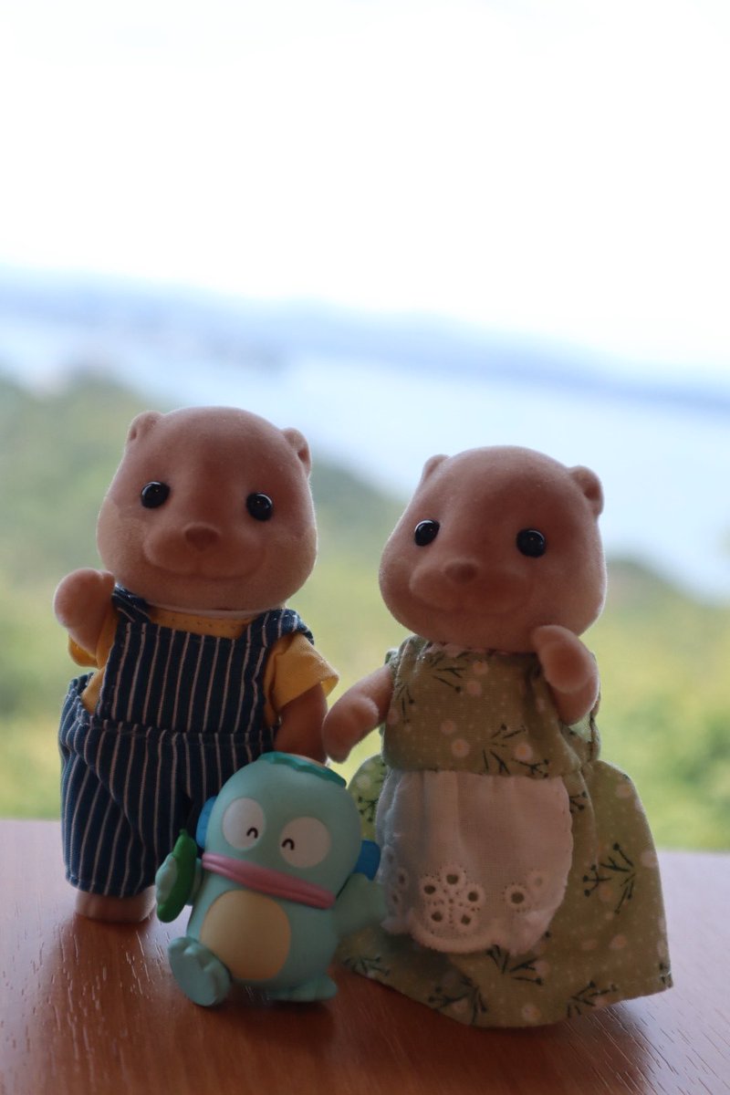 noanopt510's tweet photo. 旅行🚗³₃
お友達も一緒🐟

#観光
#シルバニアファミリー
#ハンギョドン
#canon 
#Kissm2
#のあかめ https://t.co/bEGYUAtYwV