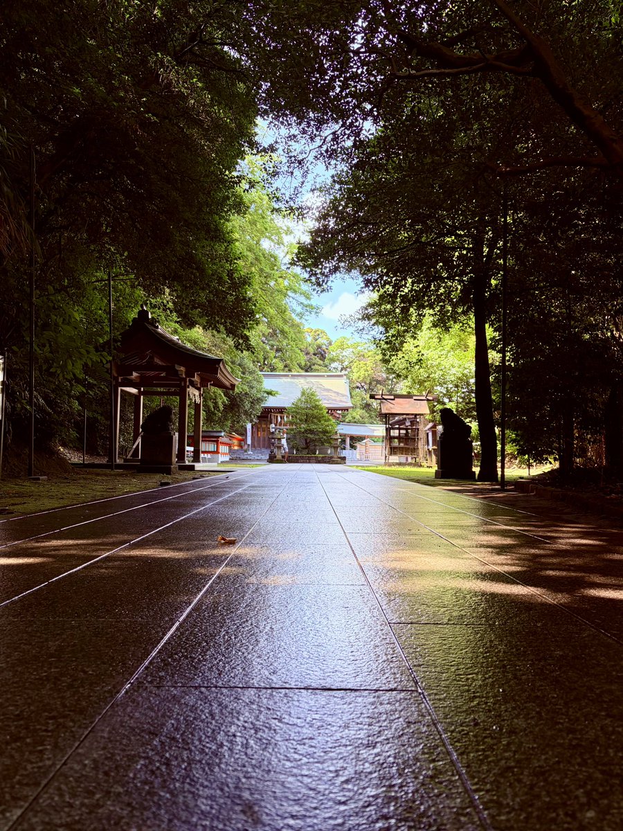 tarchicafe's tweet photo. 2026.08.15 夏詣備忘録
③＃富岡八幡宮 https://t.co/skYCUXA99f